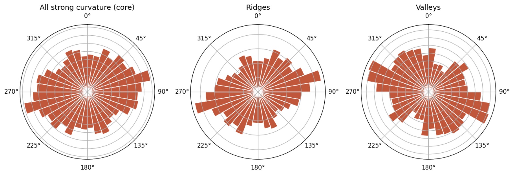 Rose diagrams of ridge and valley orientations
